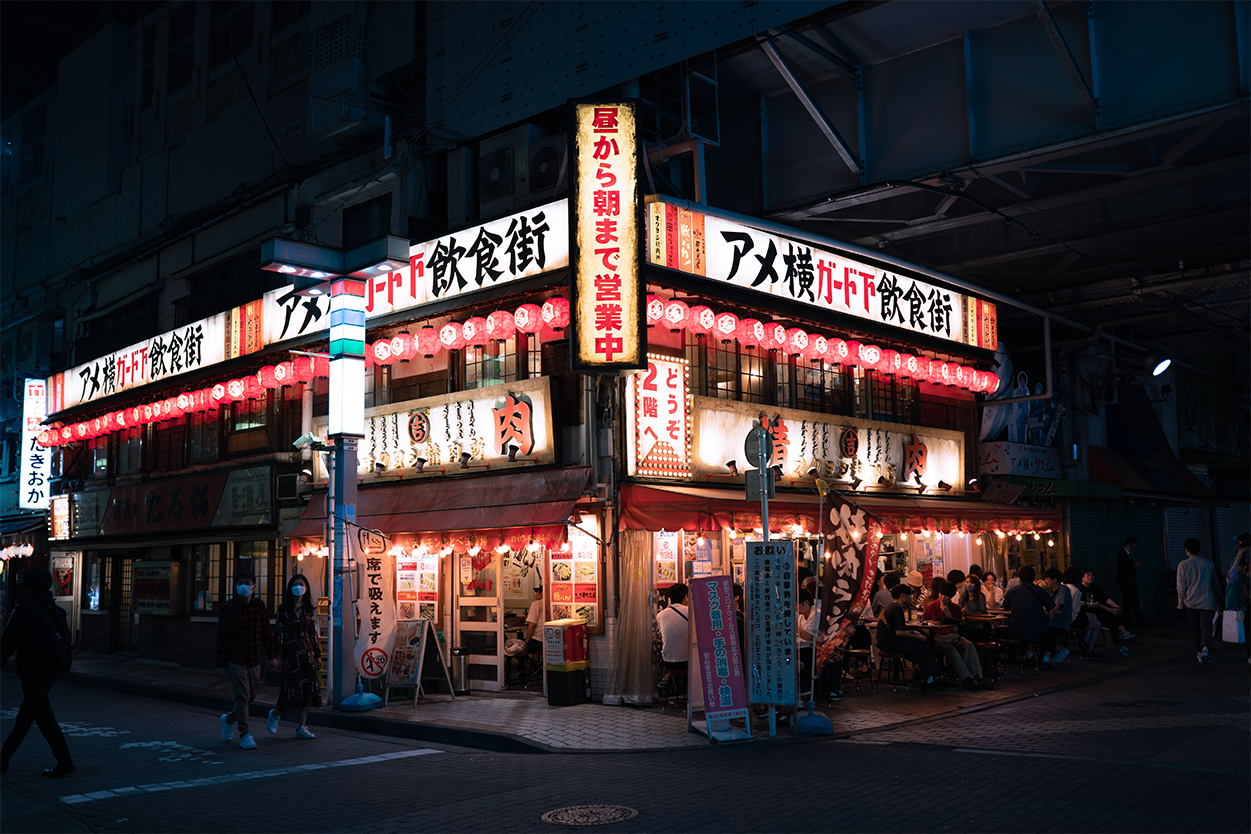 Izakaya Town - Ueno | Japan